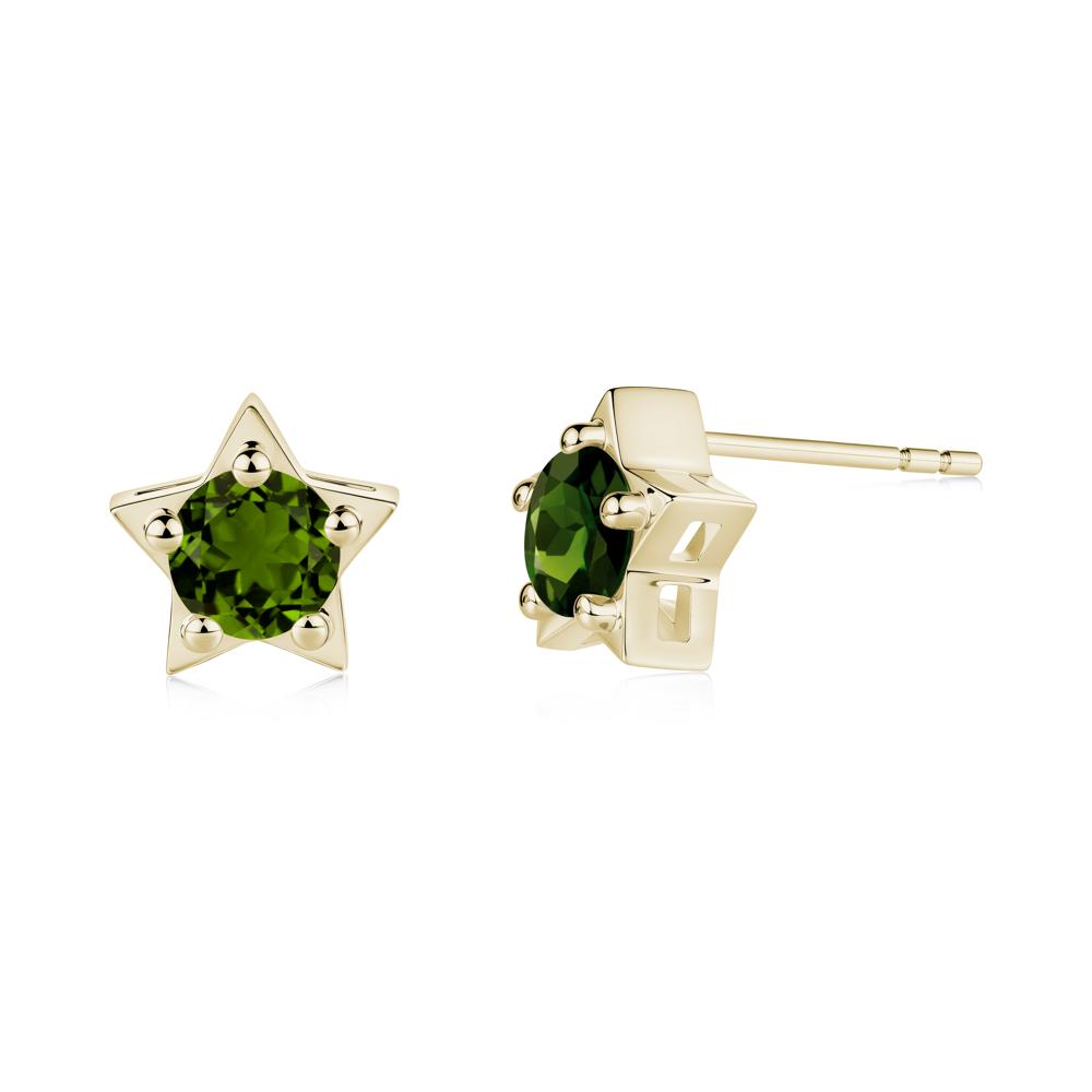 Star Round Diopside Stud Earrings - LUO Jewelry #metal_14k yellow gold