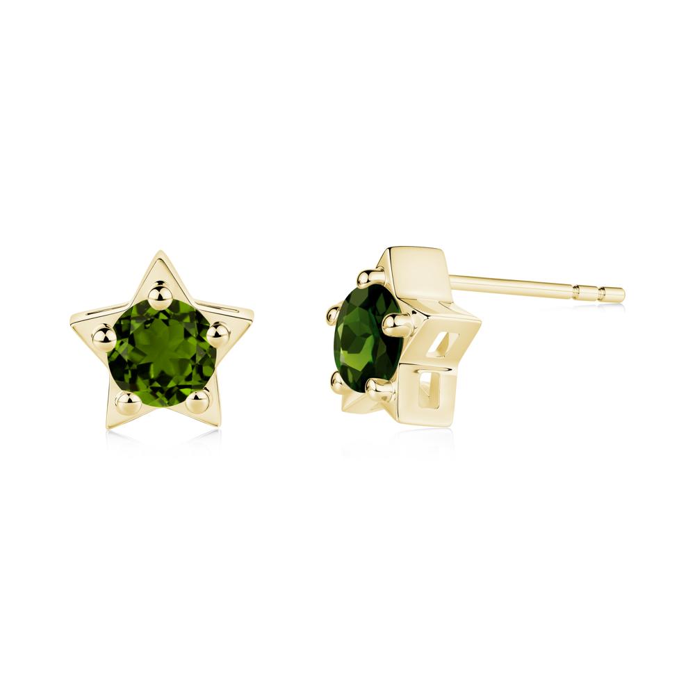 Star Round Diopside Stud Earrings - LUO Jewelry #metal_18k yellow gold