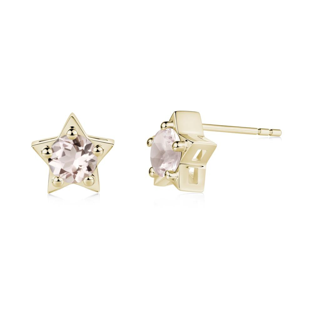 Star Round Morganite Stud Earrings - LUO Jewelry #metal_14k yellow gold