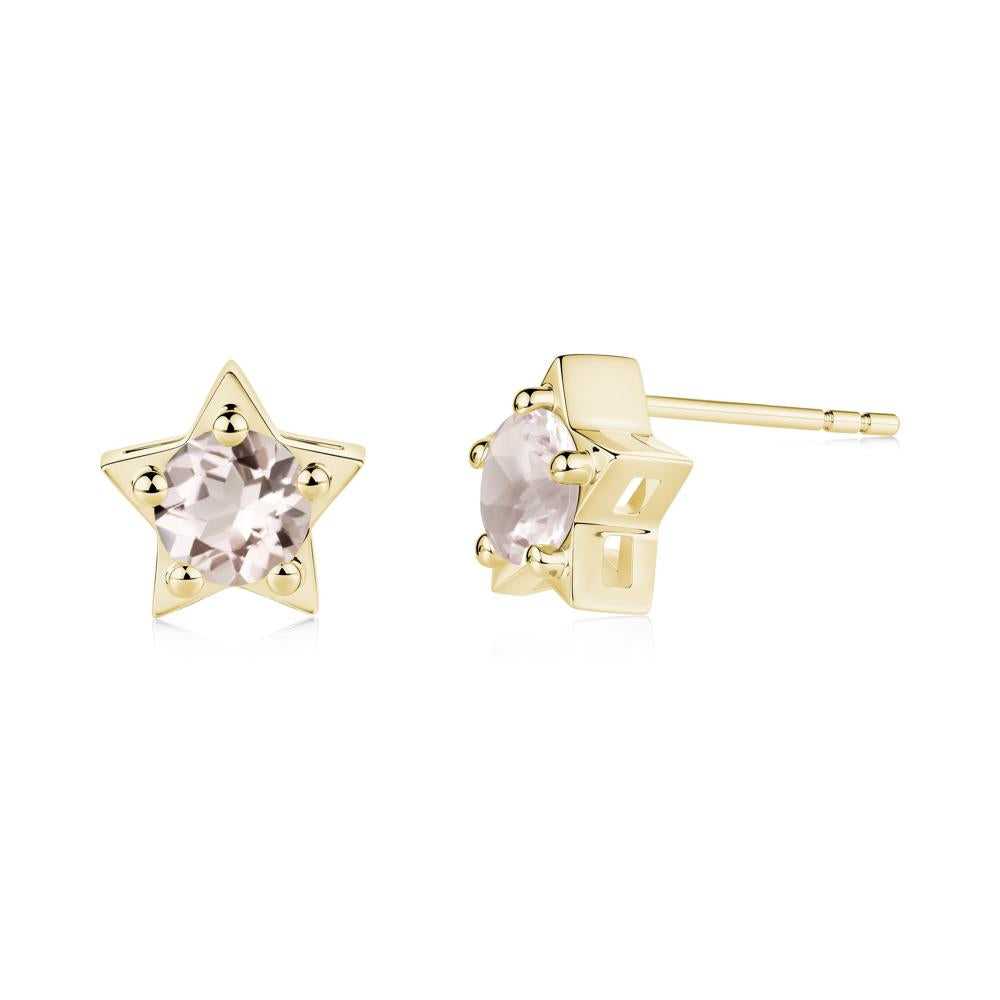 Star Round Morganite Stud Earrings - LUO Jewelry #metal_18k yellow gold