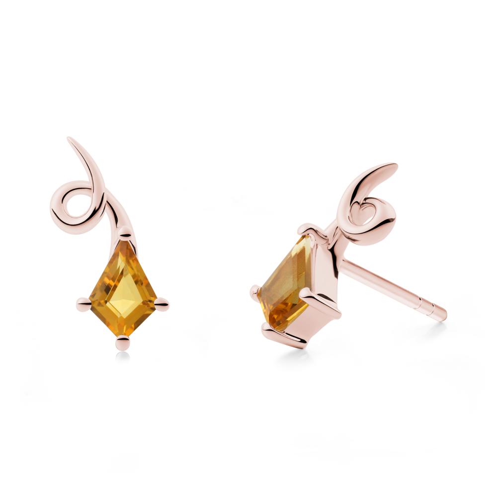Kite-Cut Citrine Earrings - LUO Jewelry #metal_18k rose gold