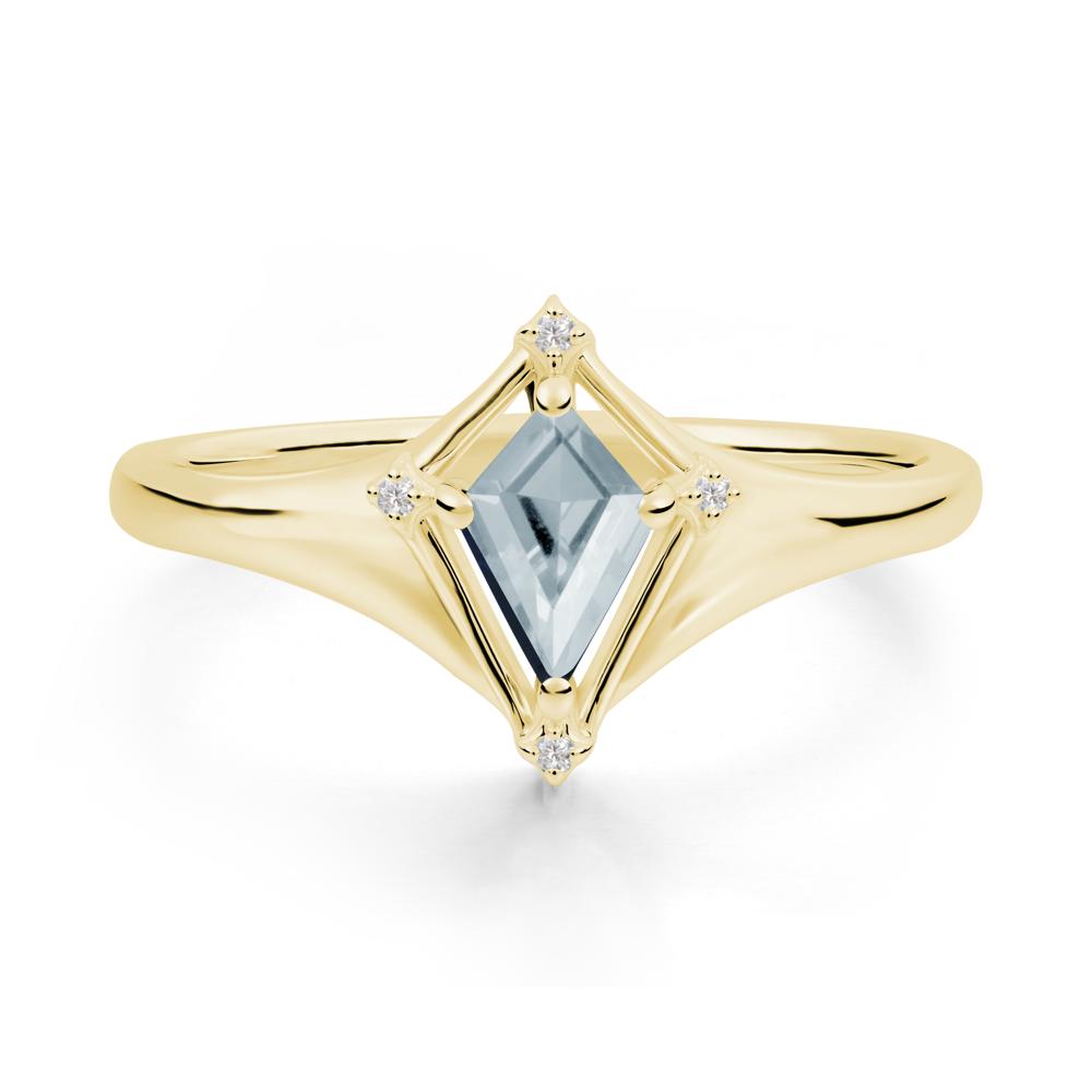Kite Cut Aquamarine Ring with Compass Setting - LUO Jewelry #metal_18k yellow gold