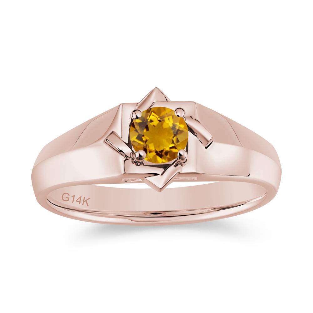Minimalist Amethyst Ring for Men and Women - LUO Jewelry #gemstone_Citrine
