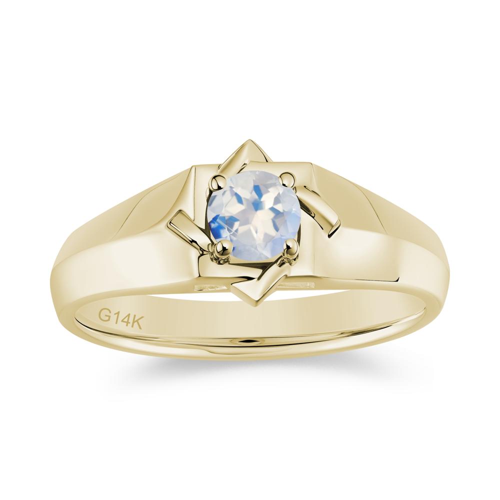 Minimalist Amethyst Ring for Men and Women - LUO Jewelry #gemstone_Moonstone