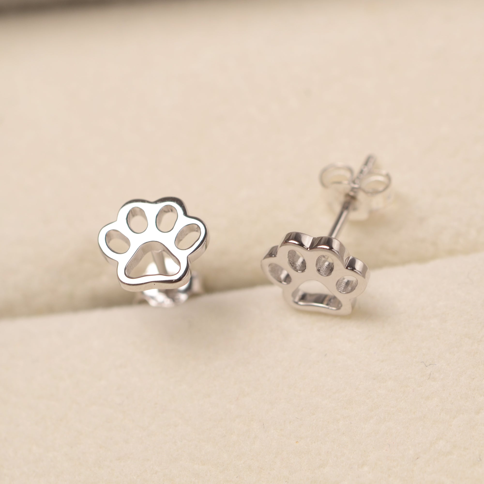 Pendientes de garra de gato lindo simple