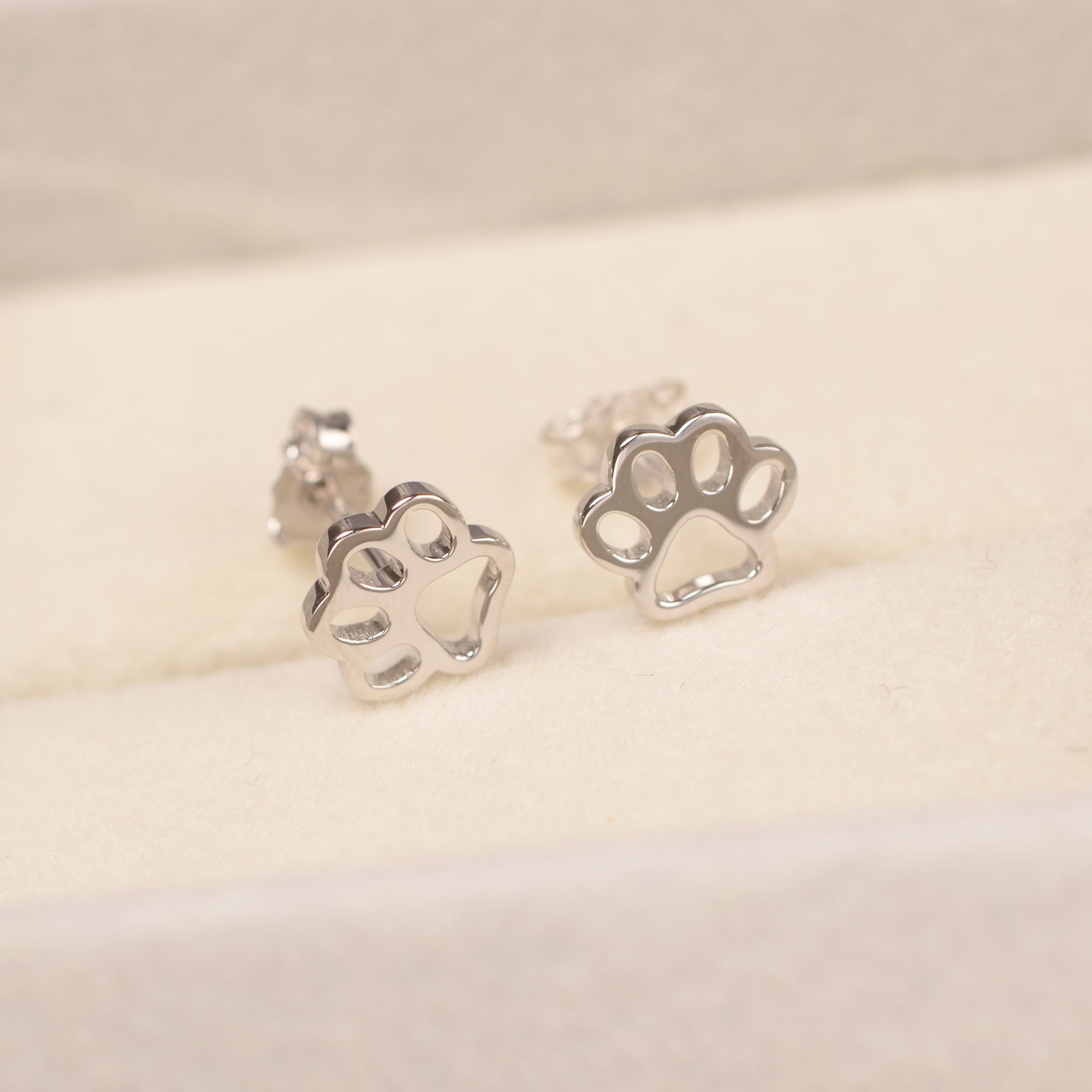 Pendientes de garra de gato lindo simple