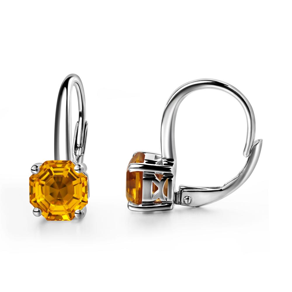 Octagon Cut Citrine Leverback Earrings - LUO Jewelry #metal_sterling silver
