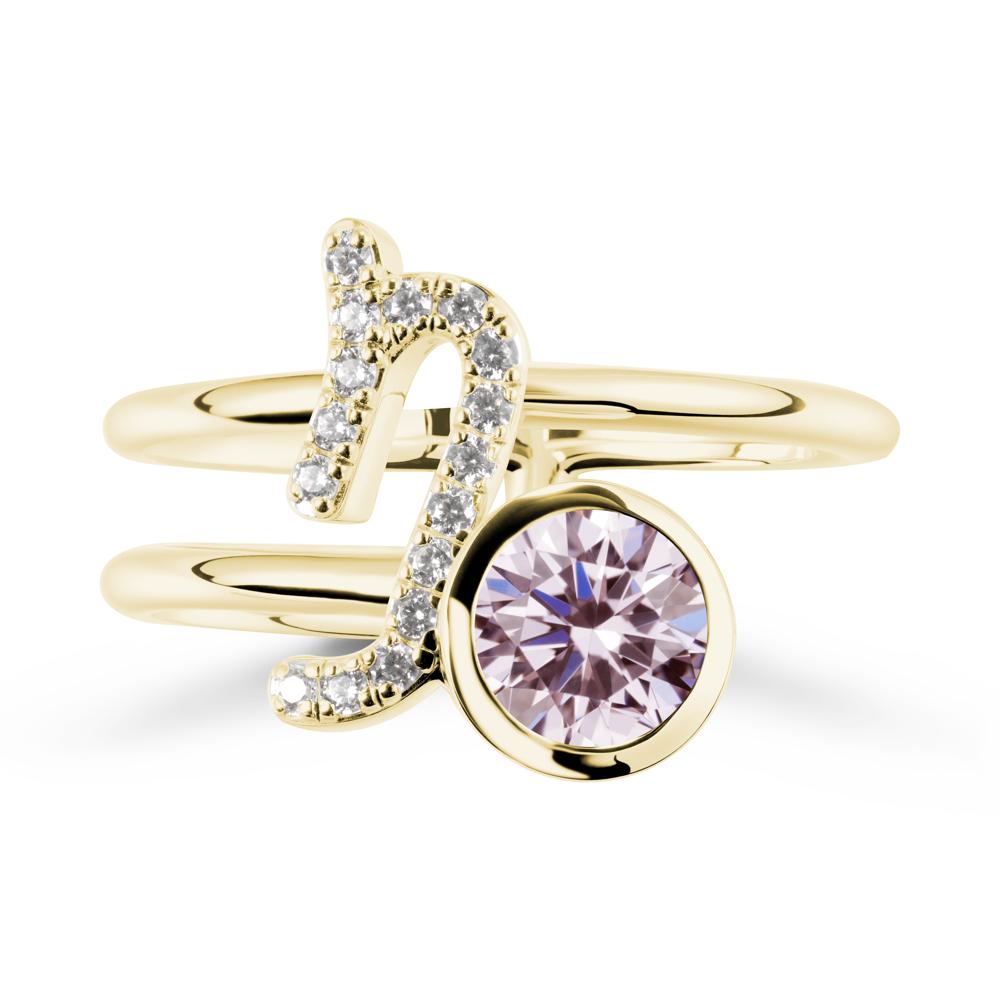 Unique Pink Cubic Zirconia Capricorn Zodiac Ring -Steadfast & Enduring - LUO Jewelry #metal_18k yellow gold