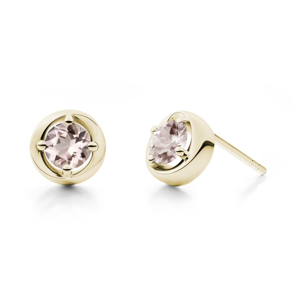 Minimalist Round Morganite Stud Earrings - LUO Jewelry #metal_14k yellow gold