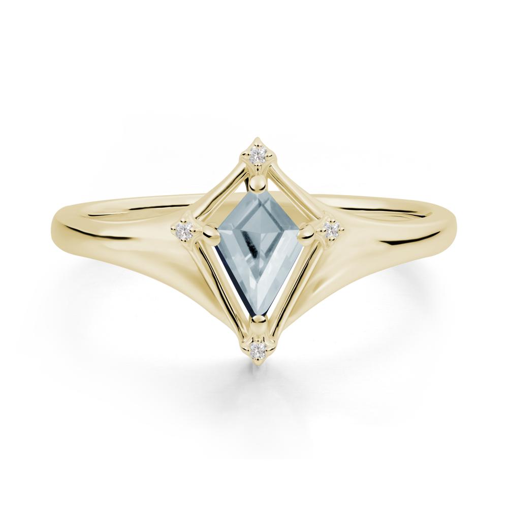 Kite Cut Aquamarine Ring with Compass Setting - LUO Jewelry #metal_14k yellow gold