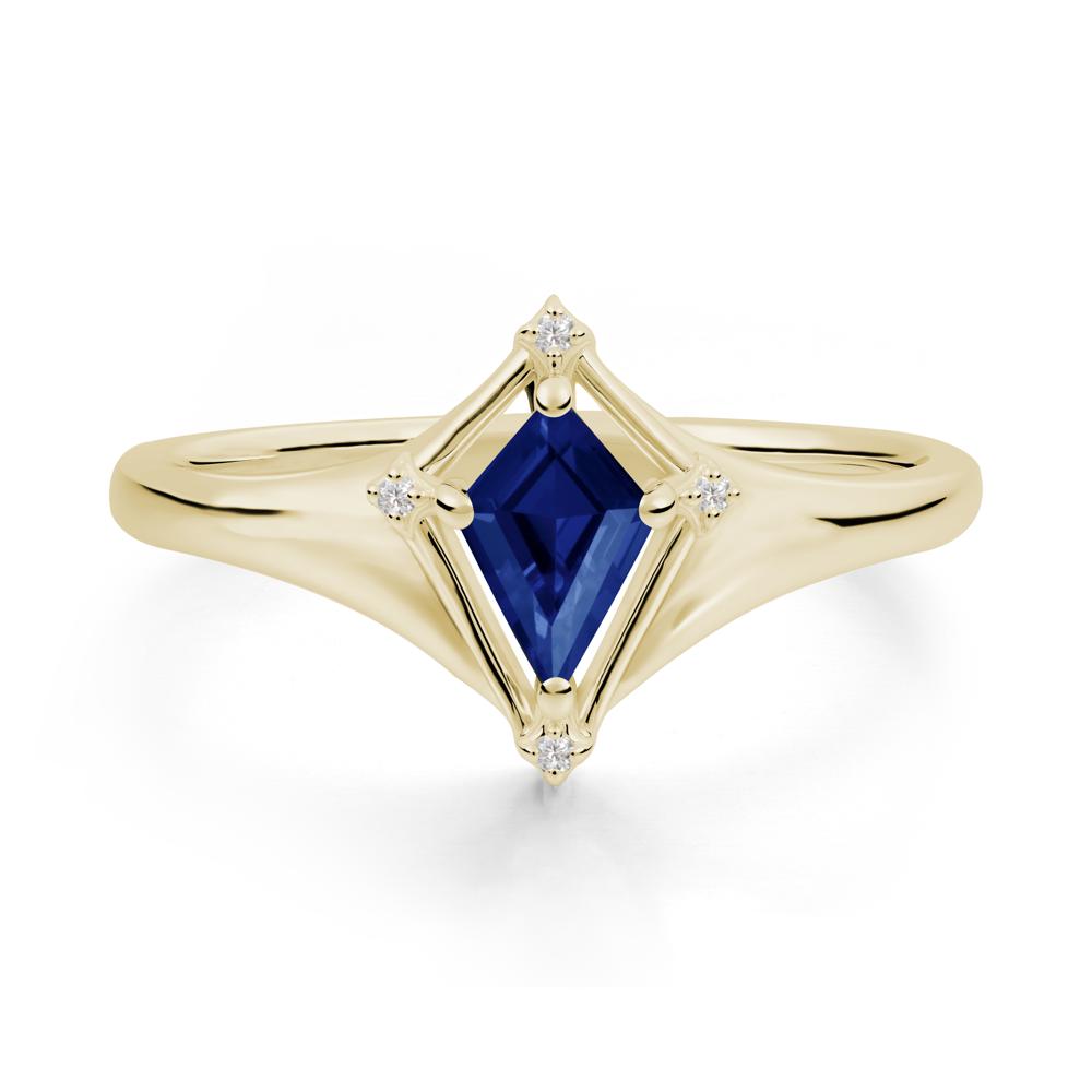 Kite Cut Sapphire Ring with Compass Setting - LUO Jewelry #metal_14k yellow gold