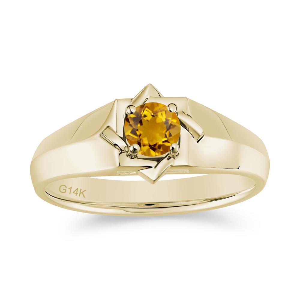 Minimalist Amethyst Ring for Men and Women - LUO Jewelry #gemstone_Citrine