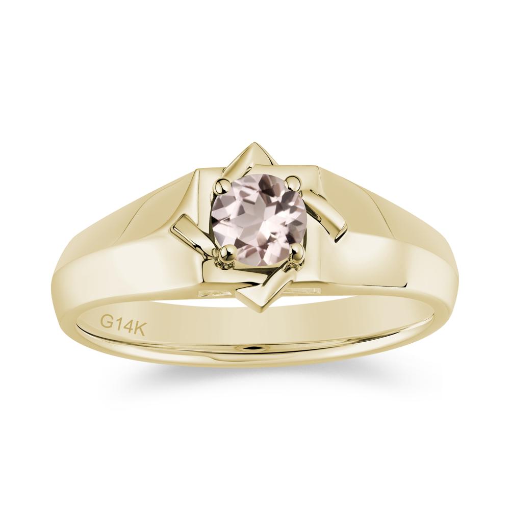 Minimalist Amethyst Ring for Men and Women - LUO Jewelry #gemstone_Morganite