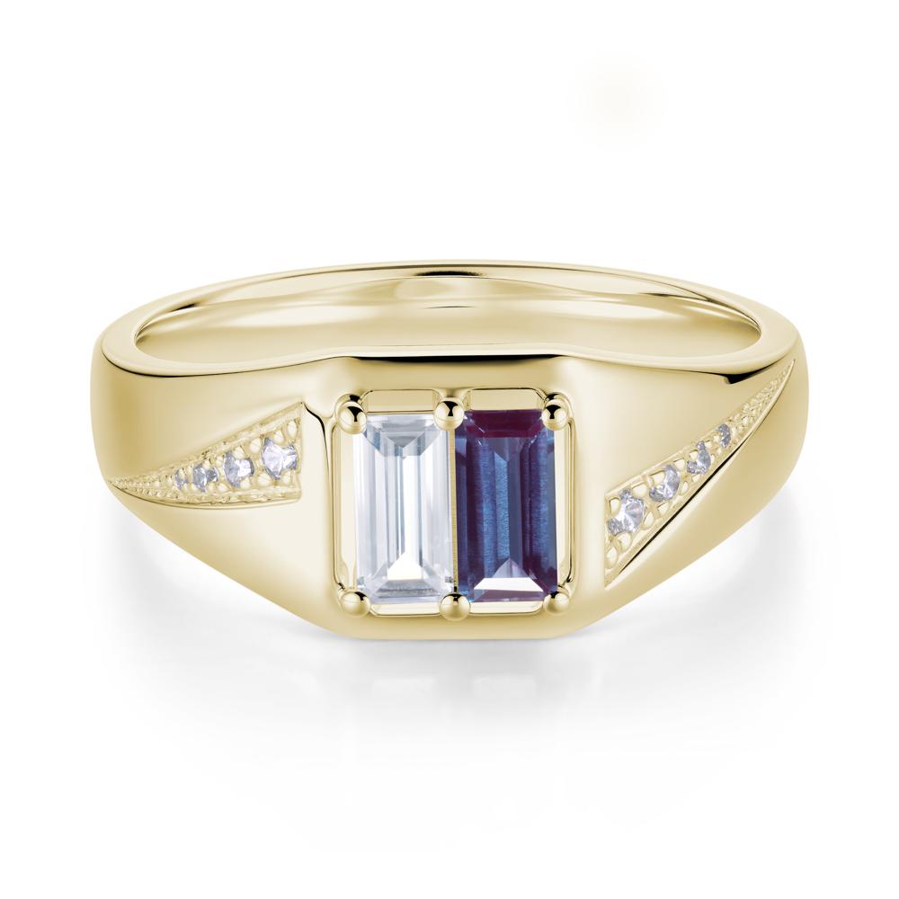 Dual Rectangular Cut Amethyst and Cubic Zirconia Ring for Him - LUO Jewelry #gemstone_Alexandrite and Cubic Zirconia