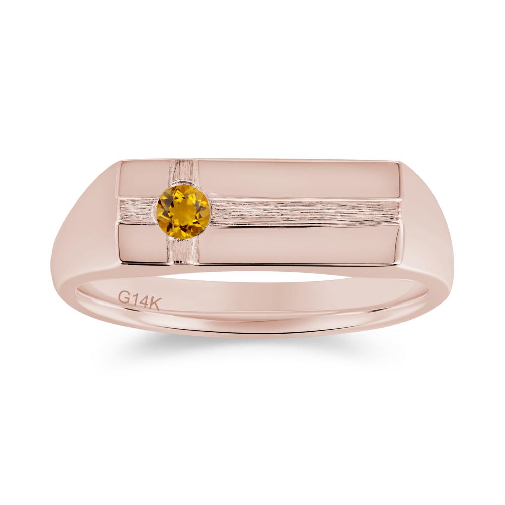 Minimalist Brushed Emerald Ring for Men - LUO Jewelry #gemstone_Citrine