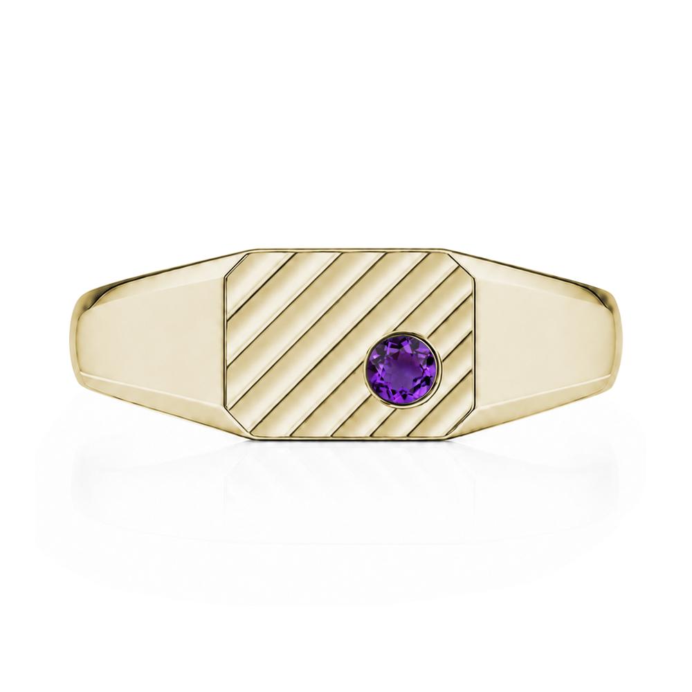 Petite Emerald Mens Signet Ring - LUO Jewelry #gemstone_Amethyst