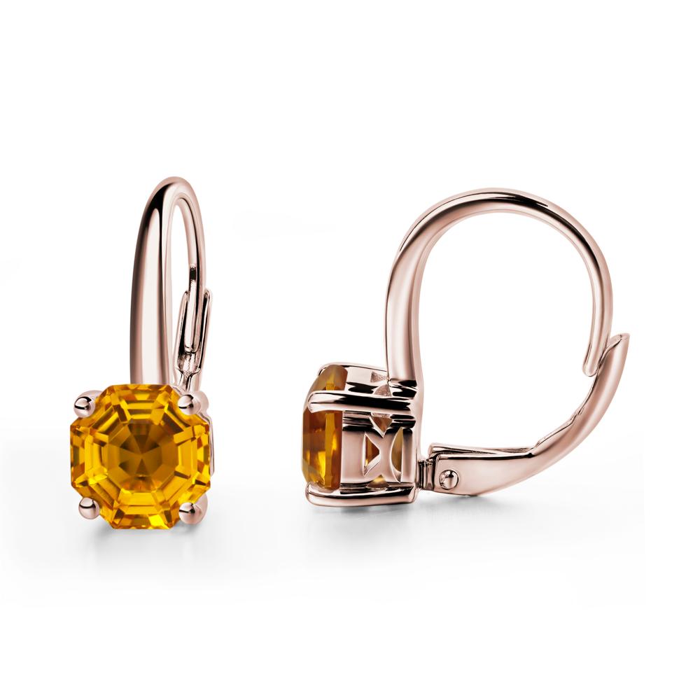 Octagon Cut Citrine Leverback Earrings - LUO Jewelry #metal_14k rose gold