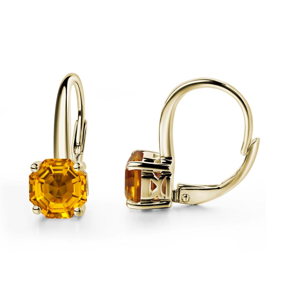 Octagon Cut Citrine Leverback Earrings - LUO Jewelry #metal_14k yellow gold