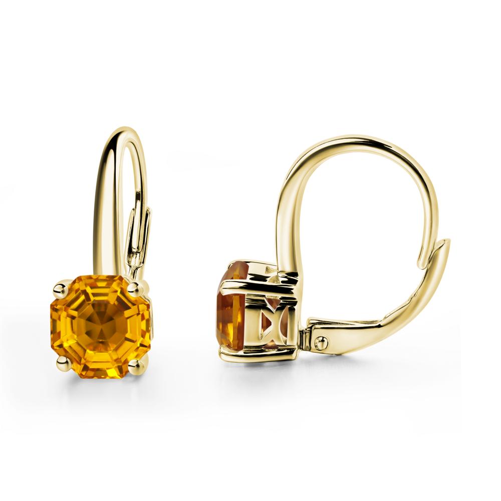 Octagon Cut Citrine Leverback Earrings - LUO Jewelry #metal_18k yellow gold
