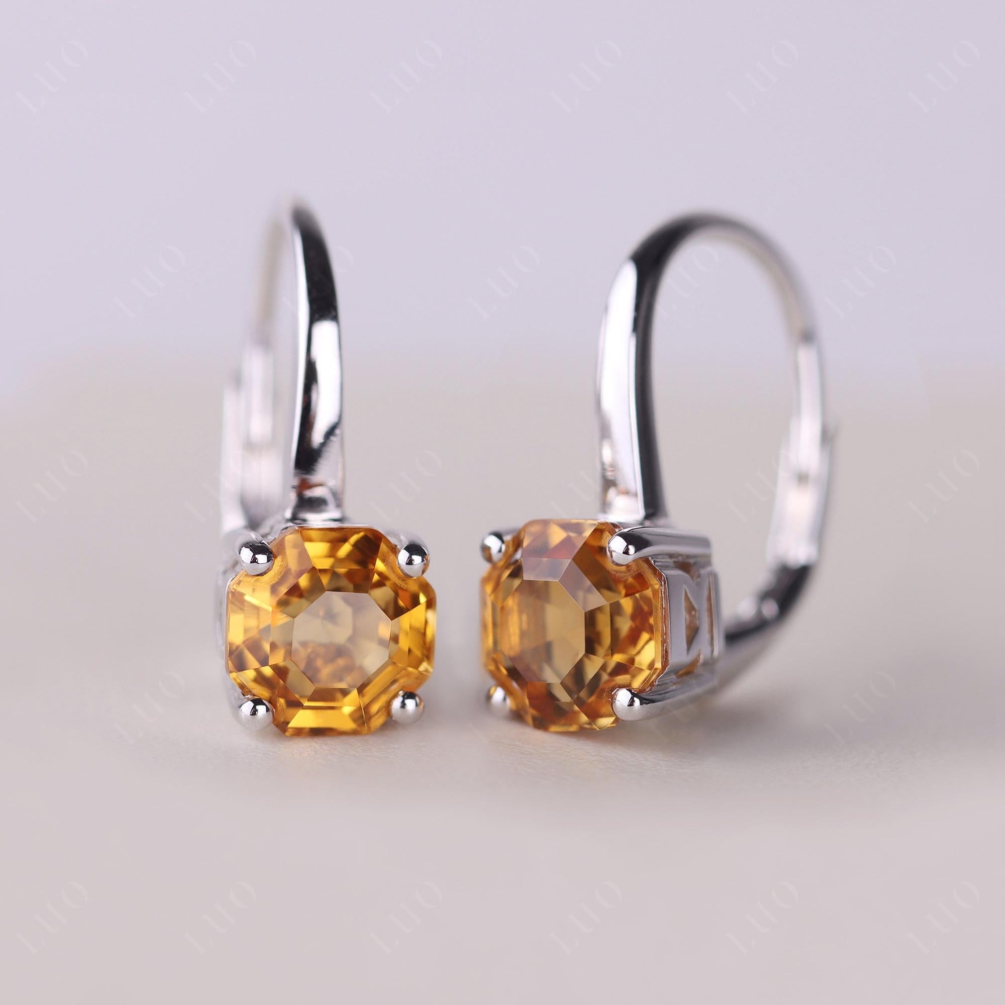 Octagon Cut Citrine Leverback Earrings - LUO Jewelry