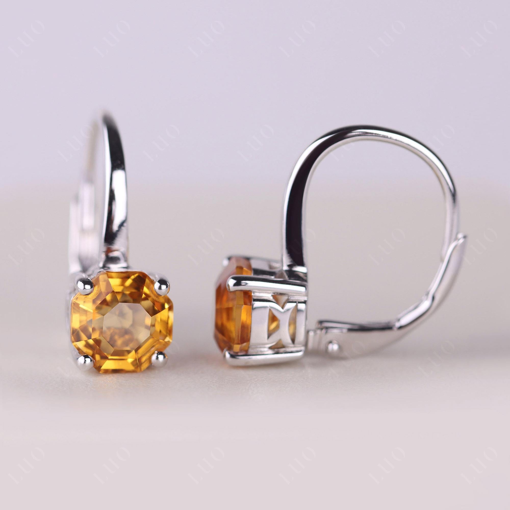 Octagon Cut Citrine Leverback Earrings - LUO Jewelry